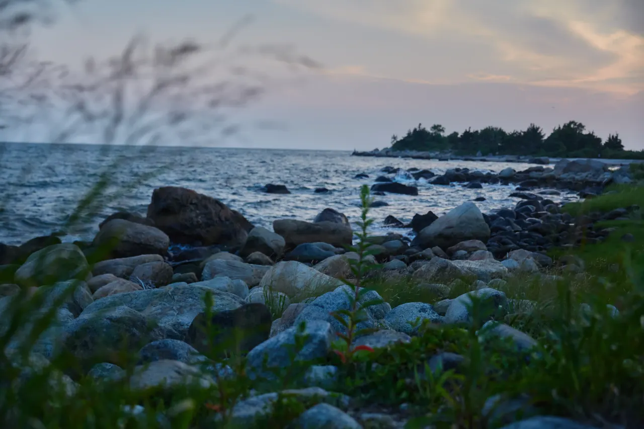 Environmental landscape