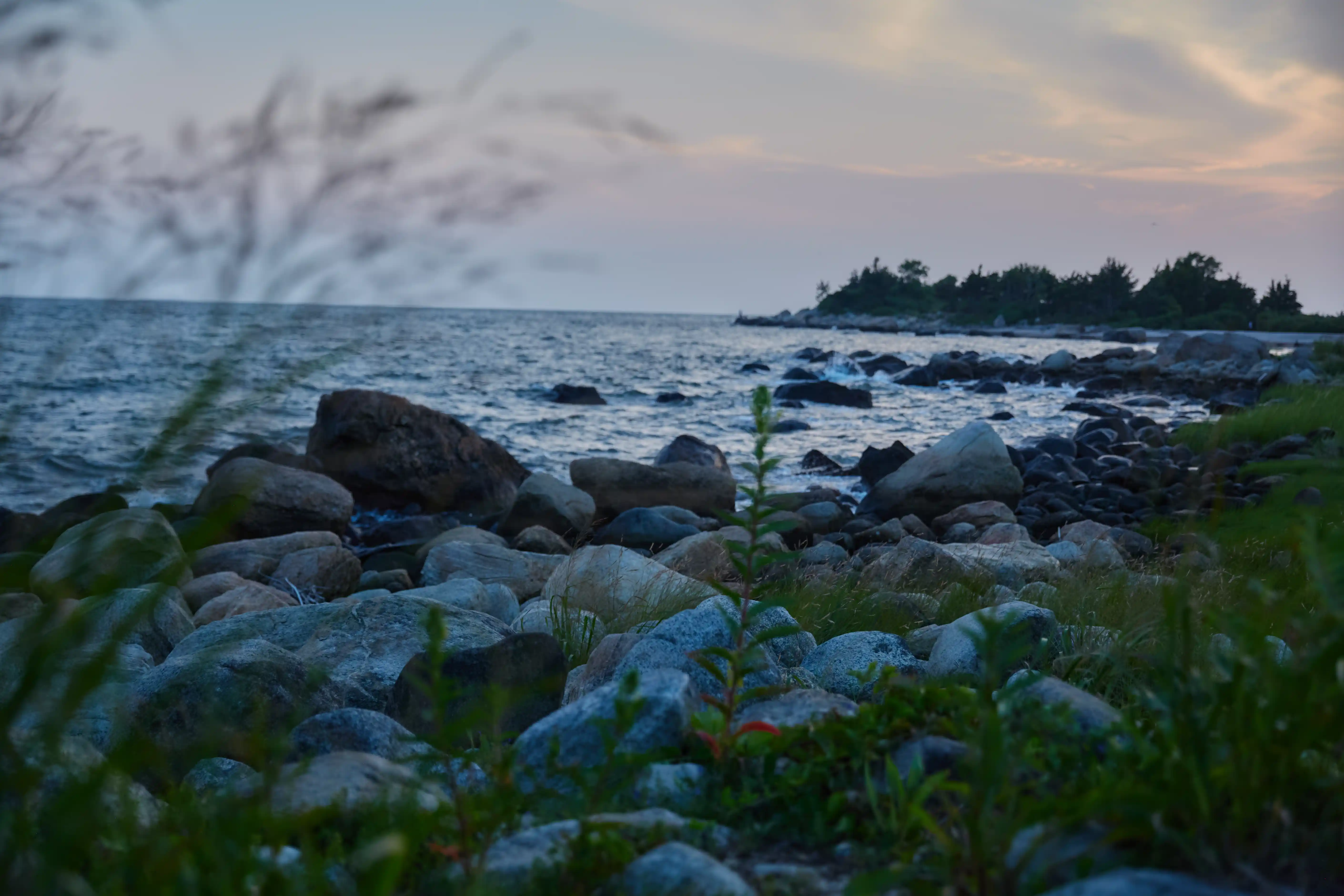 Environmental landscape