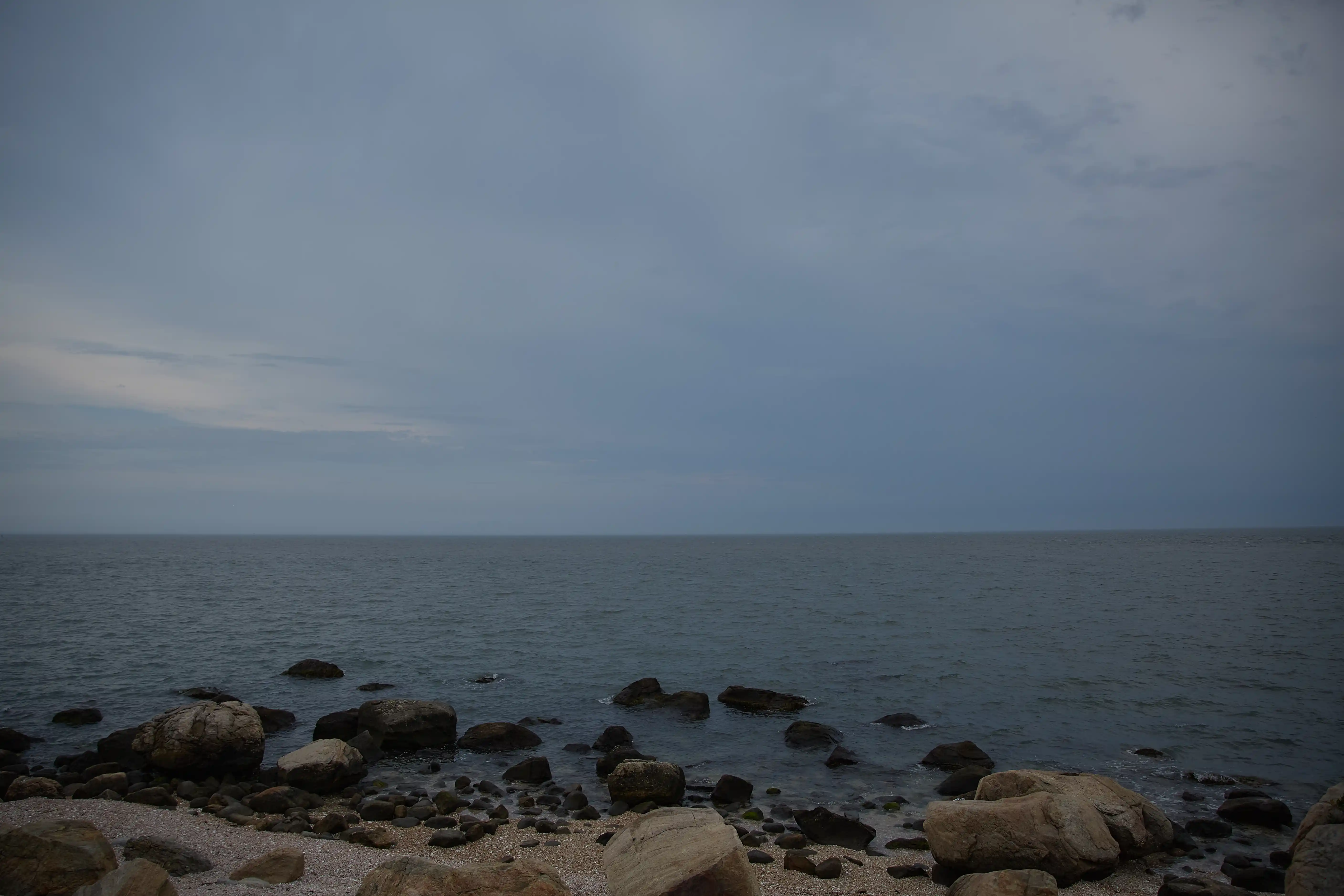 Landscape, texture and scale