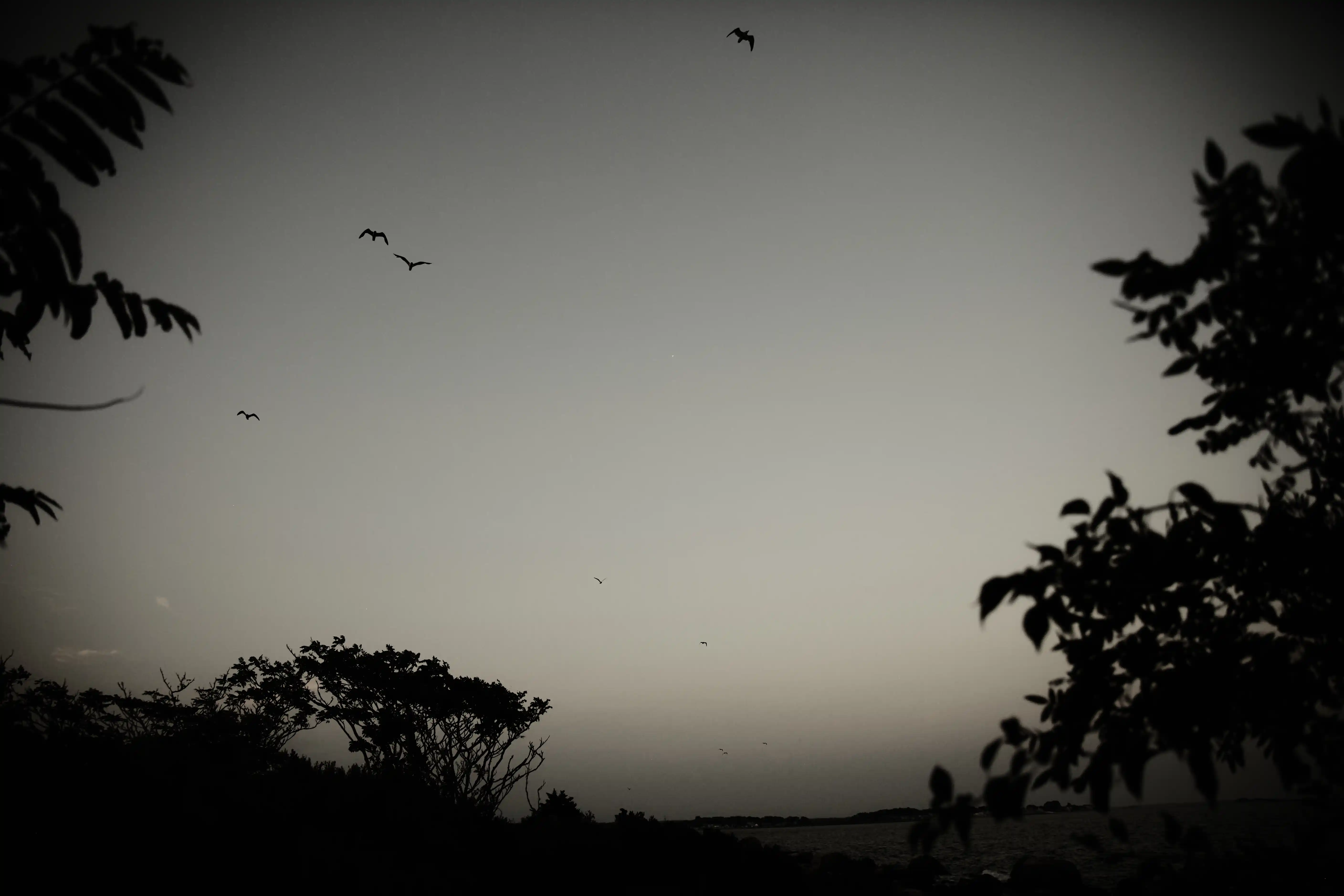 Mood-driven landscape