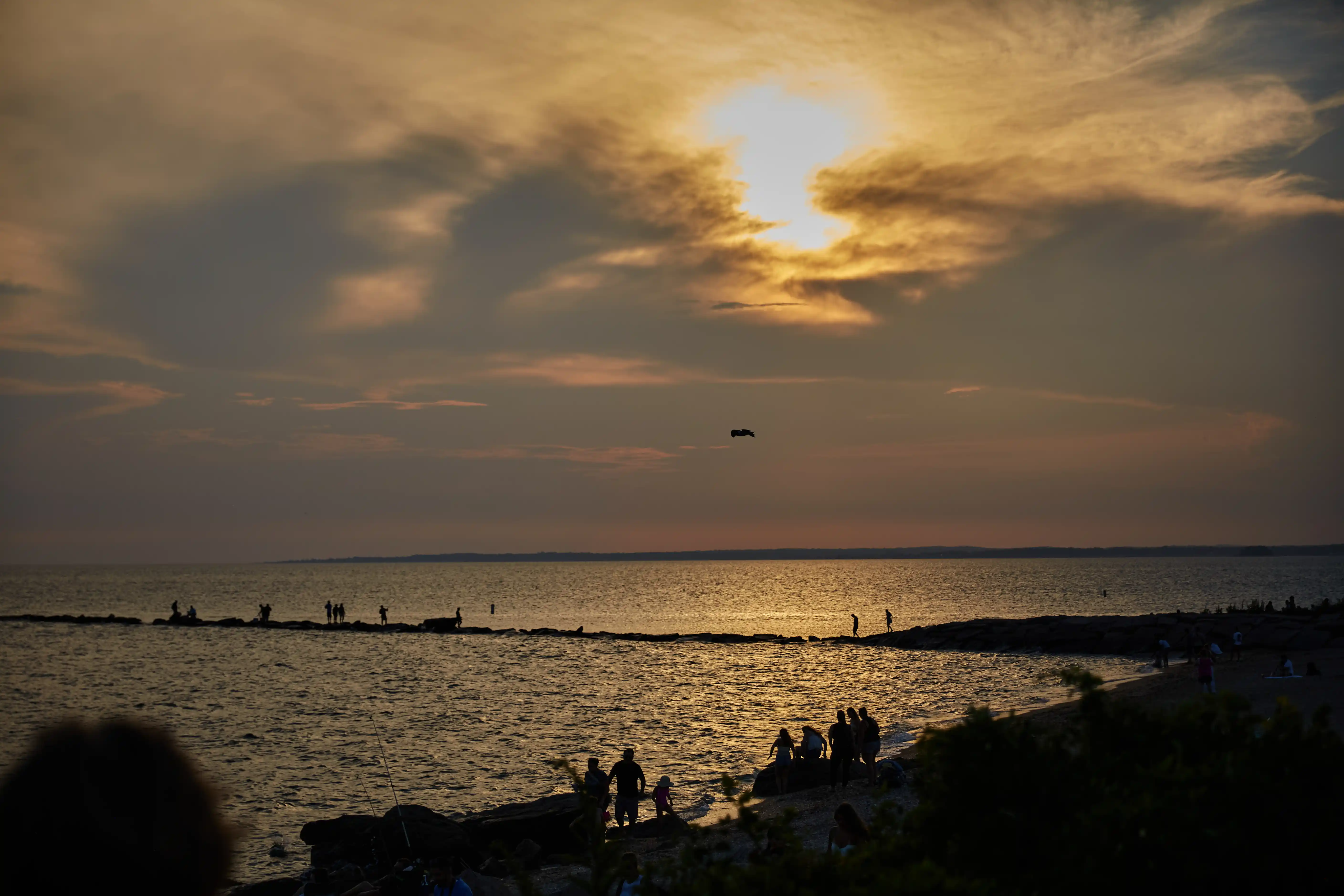 Nature landscape, immersive